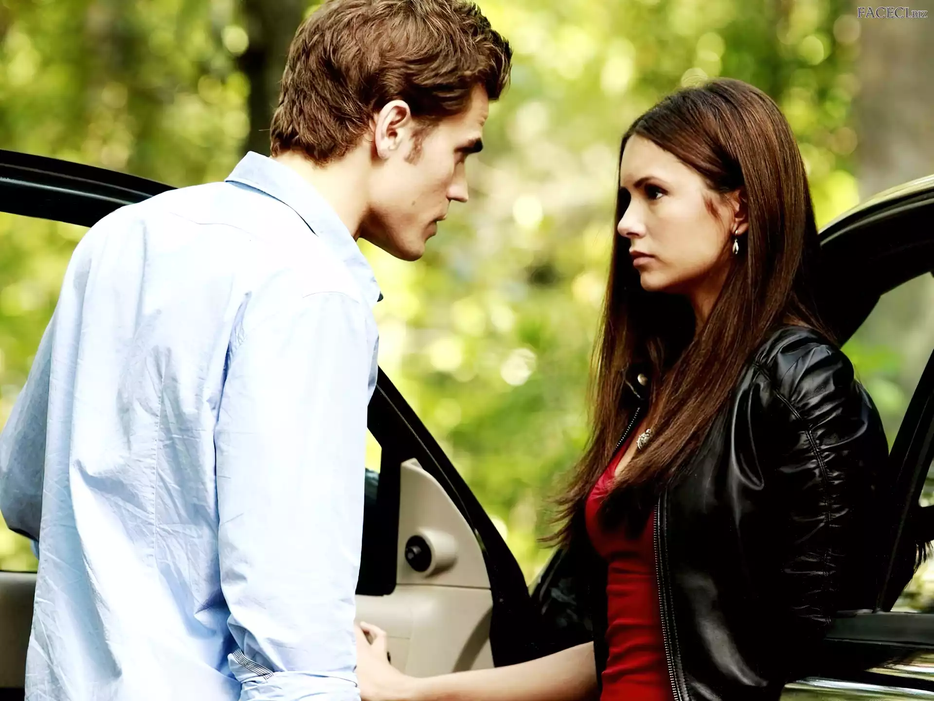 The Vampirie Diaries, Nina Dobrev, Pamiętniki wampirów, Paul Wesley